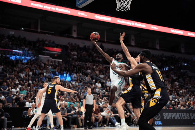 A Sad Return: Winnipeg Sea Bears vs. Edmonton&nbsp;Stingers