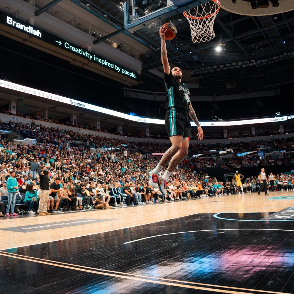 Falling Short: Winnipeg Sea Bears vs. Edmonton&nbsp;Stingers