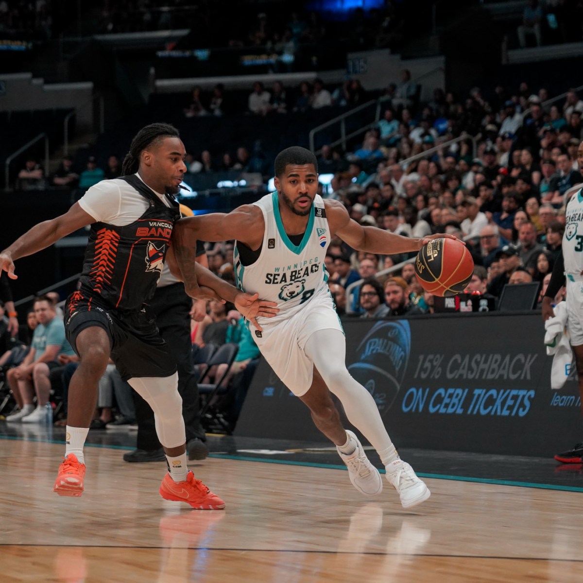 Smoke Signals: Trouble Brewing for Mike Taylor and the Sea&nbsp;Bears